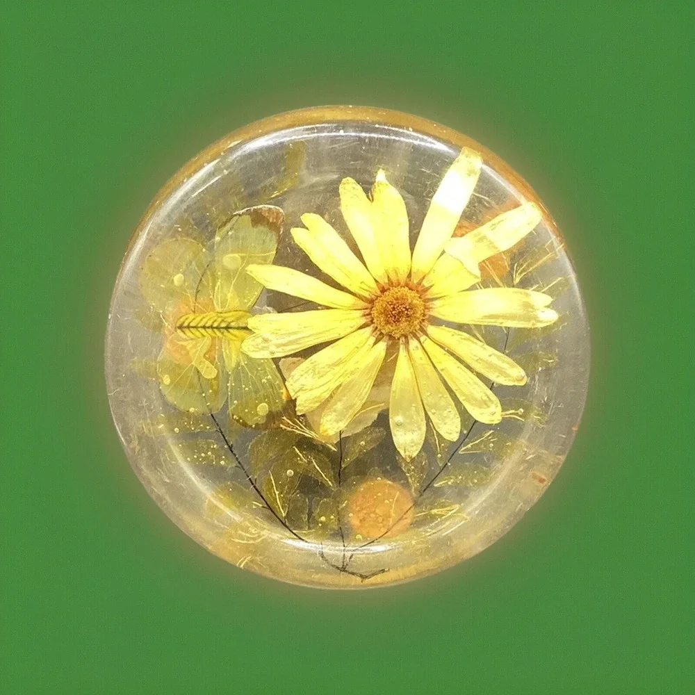 Vintage Dried Flower/ Butterfly Lucite Acrylic Coaster- 3.25